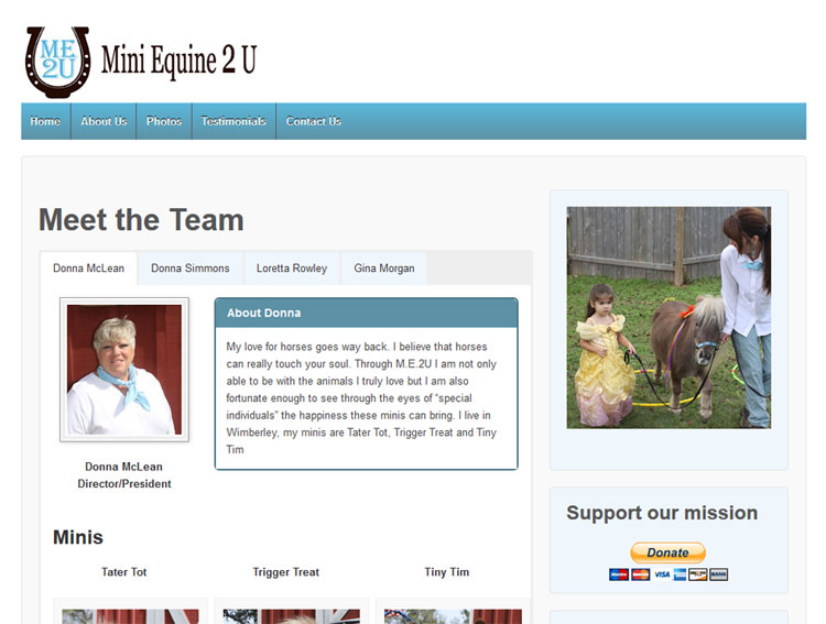 mini equine website design